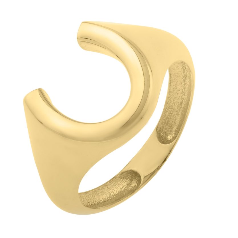 Horseshoe Ring in 14K Yellow Gold (8.00 mm) - Image 1