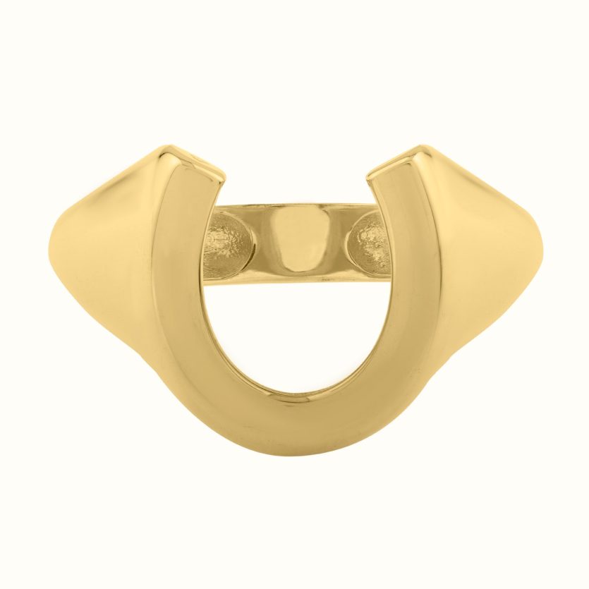 Horseshoe Ring in 14K Yellow Gold (8.00 mm) - Image 2