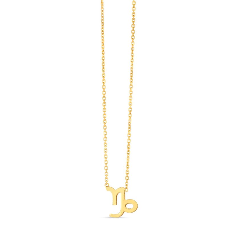 14K Yellow Gold Capricorn Necklace - Image 1