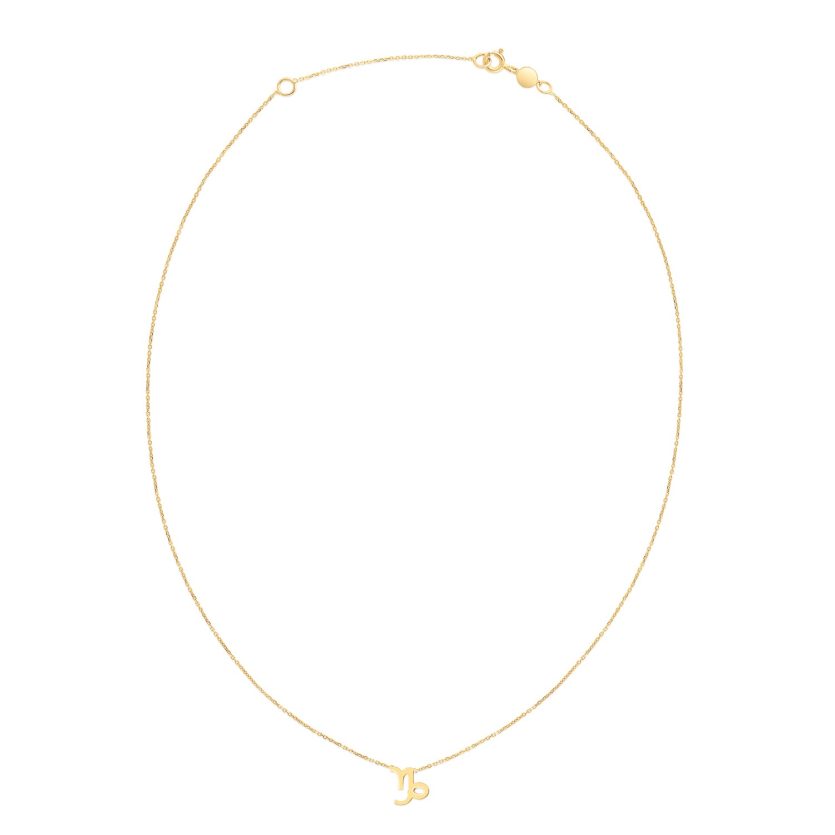 14K Yellow Gold Capricorn Necklace - Image 2