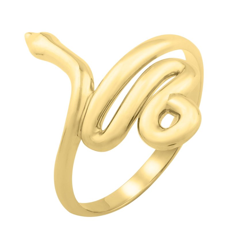 Snake Ring in 14K Yellow Gold (2.00 mm) - Image 1