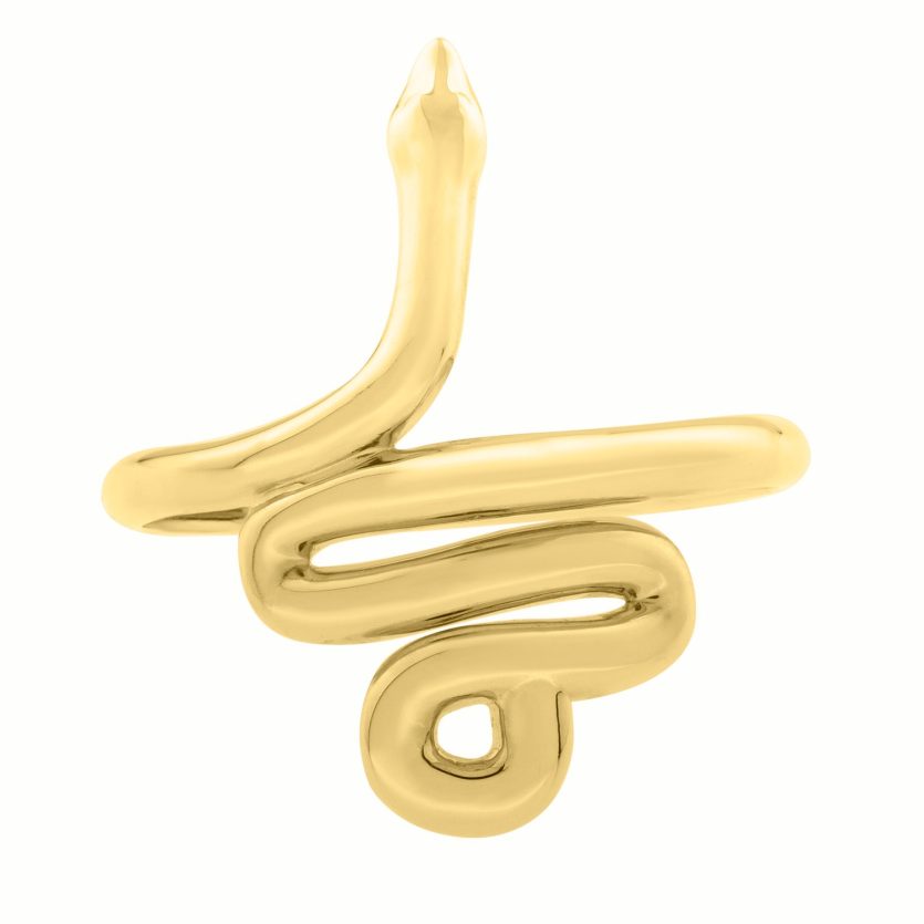 Snake Ring in 14K Yellow Gold (2.00 mm) - Image 2